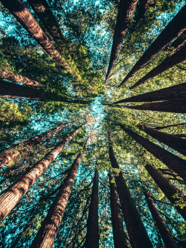 Casey horner 4r D Ca5h Bl Cs unsplash